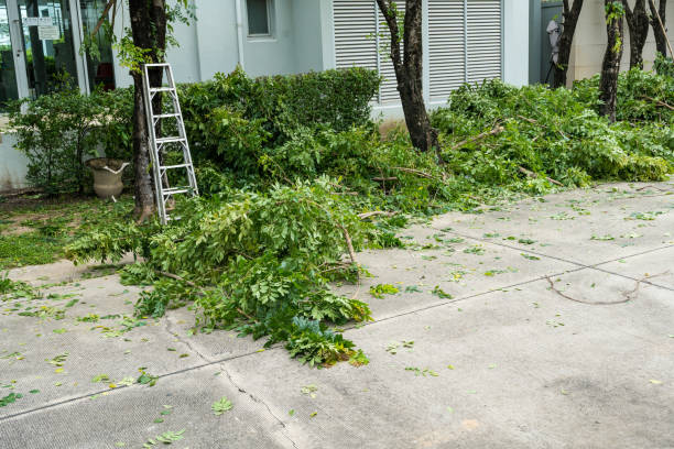 Lawn Drainage Solutions in Presidio, TX